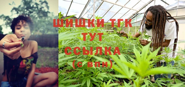 дживик Богородск