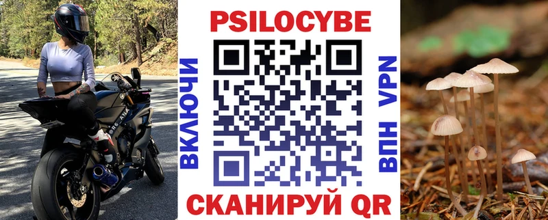 купить  сайты  Северск  Псилоцибиновые грибы ЛСД 